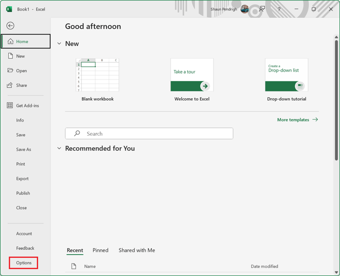 excel-file-options